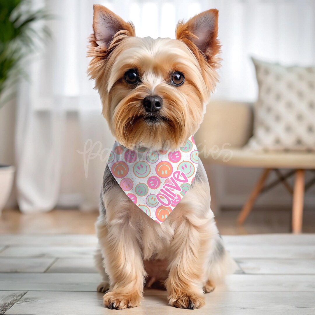 Personalized Dog Bandana | Cute Dog Bandana | Girl Dog Bandana