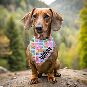 Personalized Pet Bandana | Custom Slip On Dog & Cat Bandana | Custom Name Bandana | Multiple Sizes | Pet Collar Accessory | Sardines