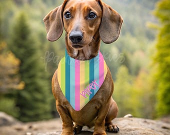 Personalized Dog Bandana | Cute Dog Bandana | Girl Dog Bandana | Boy Dog Bandana | Customized Pet Bandana | Over the collar bandana | scarf