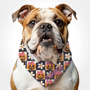 Personalized Dog Bandana | Cute Dog Bandana | Girl Dog Bandana | Boy Dog Bandana | Customized Pet Bandana | Over the collar bandana | scarf