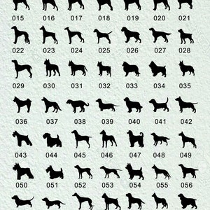 Op de afbeelding: Een grafiek met zwarte silhouetten van 82 verschillende hondenrassen, genummerd van 001 tot 082. De grafiek is op een witte achtergrond.