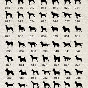 Może przedstawiać: Czarno-biała tabela z 82 r&oacute;żnymi sylwetkami ras ps&oacute;w. Tabela jest oznaczona tytułem "Dog Chart" u g&oacute;ry. Każda sylwetka jest ponumerowana od 001 do 082.
