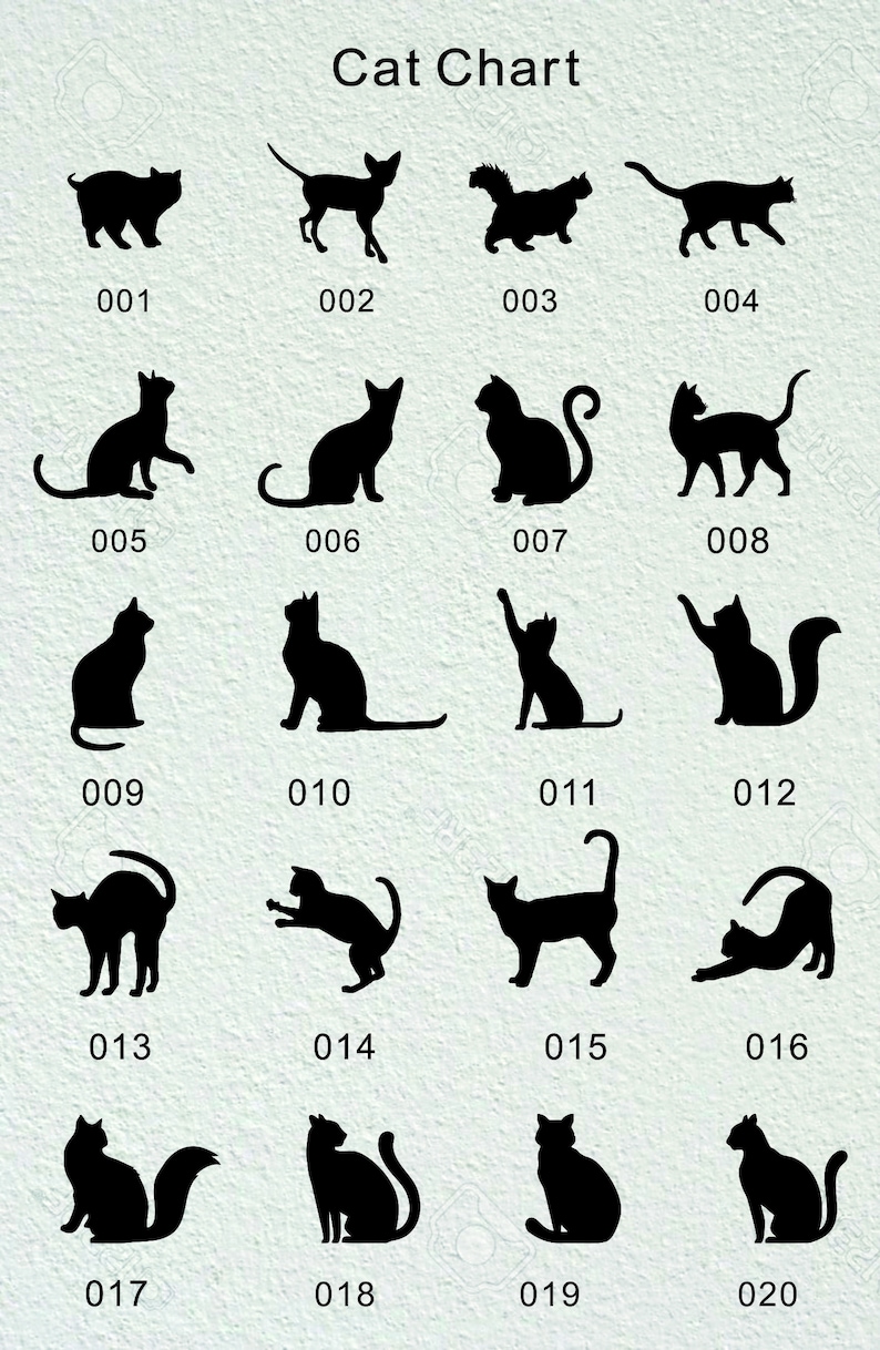 Op de afbeelding: Een grafiek met 20 zwarte silhouetbeelden van katten in verschillende poses. Elk beeld is genummerd van 001 tot 020.