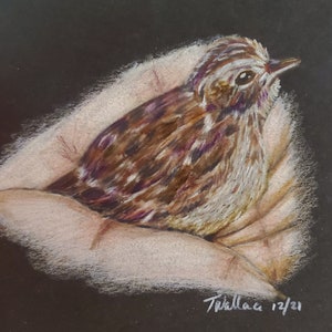 Bird in the hand, colored pencil drawing