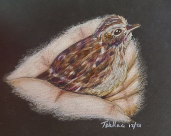 Bird in the hand, colored pencil drawing