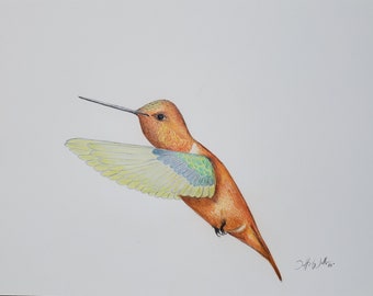 Humming, original color pencil drawing