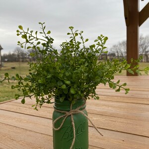 boxwood mason jar decor, boxwood greenery decor, St Patricks Day gift, tiered tray decor, luck of the Irish, boxwood greenery, mantel decor