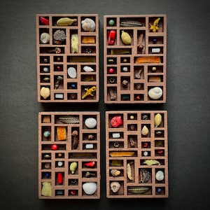 Può includere: Quattro scatole a ombre in legno con una griglia di scomparti, ciascuna riempita di una varietà di piccoli oggetti, tra cui conchiglie, fiori secchi e altri elementi naturali. Le scatole sono disposte in uno schema quadrato.