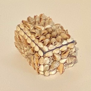 May include: A small rectangular box completely covered in seashells. The box is made of glass and has a light blue tint. The seashells are a variety of shapes and sizes, and they are arranged in a random pattern.