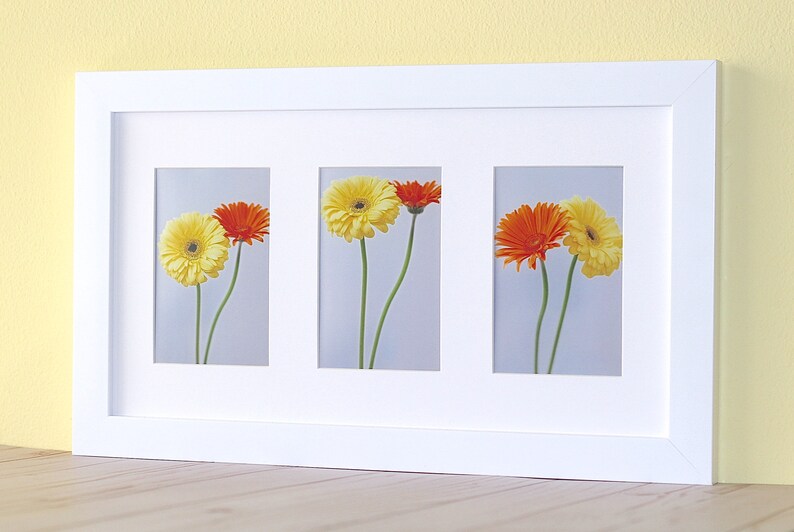 Framed Photo Wall Art Flowers Gerbera Photos Frame With Daisies Daisy Hanging - Gerbera Daisy Wall Art Framed Photo Wall Art Flowers Gerbera Photos Frame With Daisies Daisy Hanging - Gerbera Daisy Wall Art