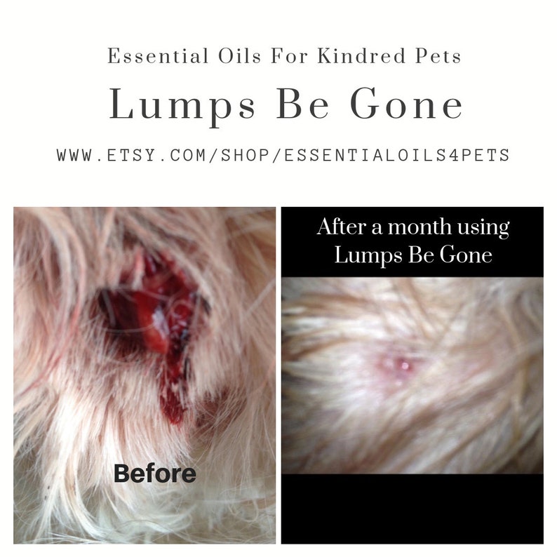 Lumps Be Gone, fatty mass, dog warts, lumps, bumps, natural, holistic, essential oils, skin tags, cysts, abscess, lipoma, grooming image 2