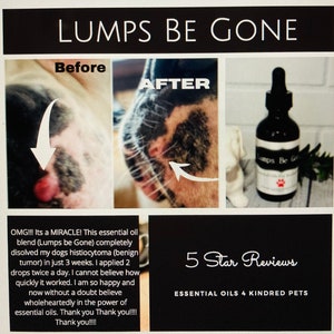 Lumps Be Gone, fatty mass, dog warts, lumps, bumps, natural, holistic, essential oils, skin tags, cysts, abscess, lipoma, grooming image 4