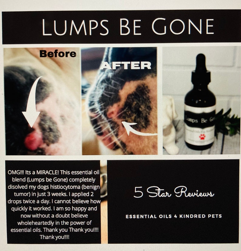 Lumps Be Gone, fatty mass, dog warts, lumps, bumps, natural, holistic, essential oils, skin tags, cysts, abscess, lipoma, grooming image 4