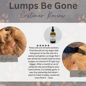 Lumps Be Gone, fatty mass, dog warts, lumps, bumps, natural, holistic, essential oils, skin tags, cysts, abscess, lipoma, grooming image 5