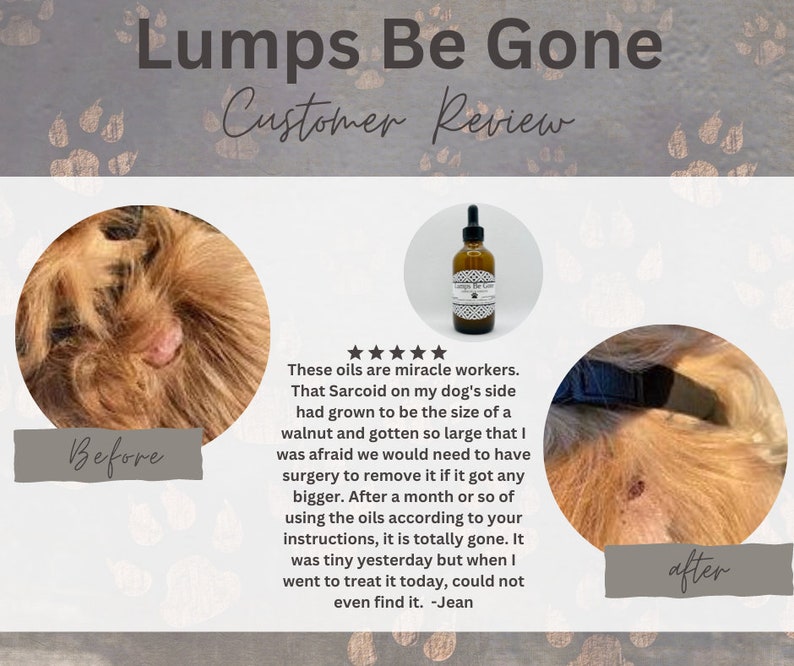 Lumps Be Gone, fatty mass, dog warts, lumps, bumps, natural, holistic, essential oils, skin tags, cysts, abscess, lipoma, grooming image 5