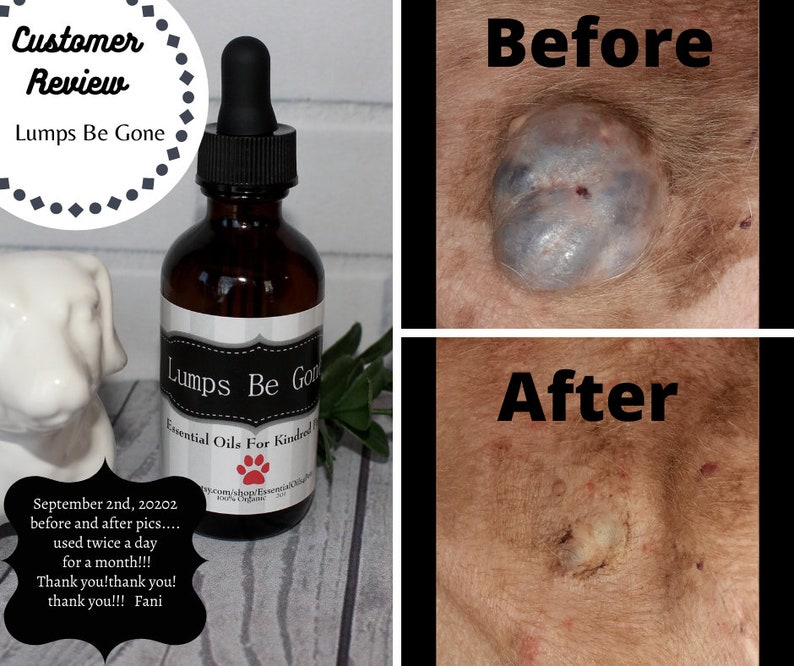 Lumps Be Gone, fatty mass, dog warts, lumps, bumps, natural, holistic, essential oils, skin tags, cysts, abscess, lipoma, grooming image 3