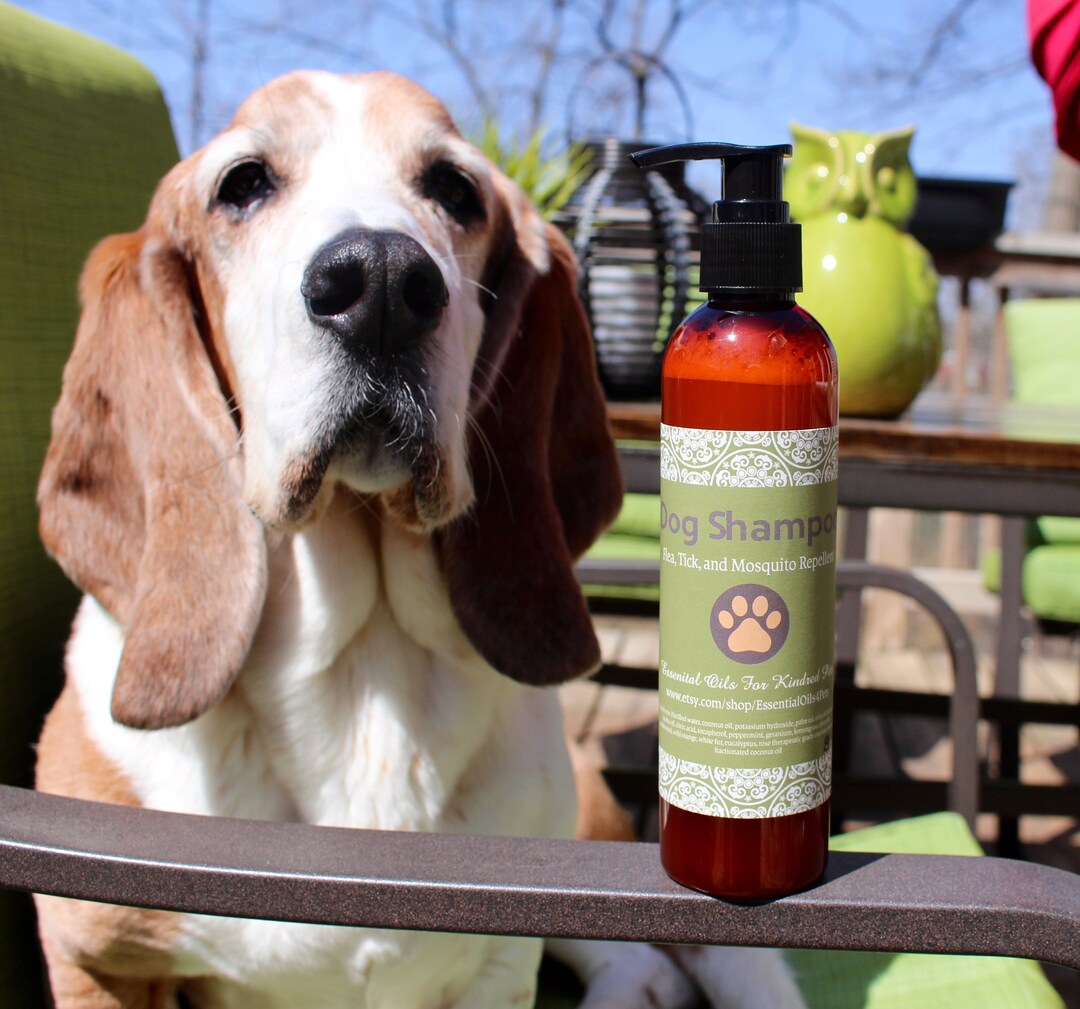 Flea and Tick Shampoo for Dogs, All Natural Dog Shampoo, Flea and Tick