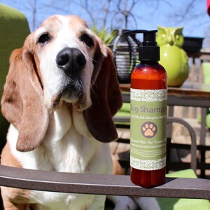 Flea And Tick Shampoo For Dogs, All Natural Dog Shampoo, Flea and Tick Prevention, Flea and Tick Treatment, Lemongrass Scent  8 oz