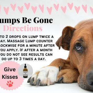 Lumps Be Gone, fatty mass, dog warts, lumps, bumps, natural, holistic, essential oils, skin tags, cysts, abscess, lipoma, grooming image 6