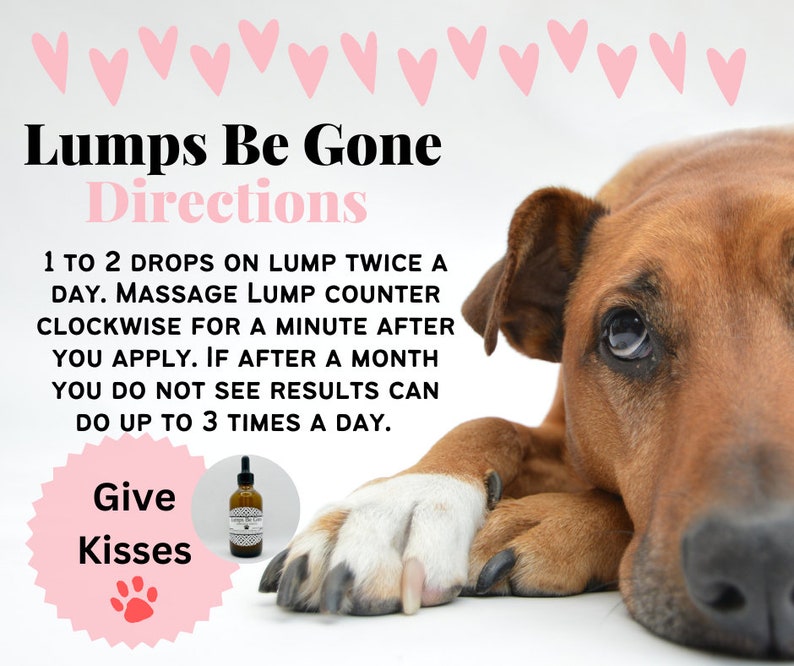 Lumps Be Gone, fatty mass, dog warts, lumps, bumps, natural, holistic, essential oils, skin tags, cysts, abscess, lipoma, grooming image 6