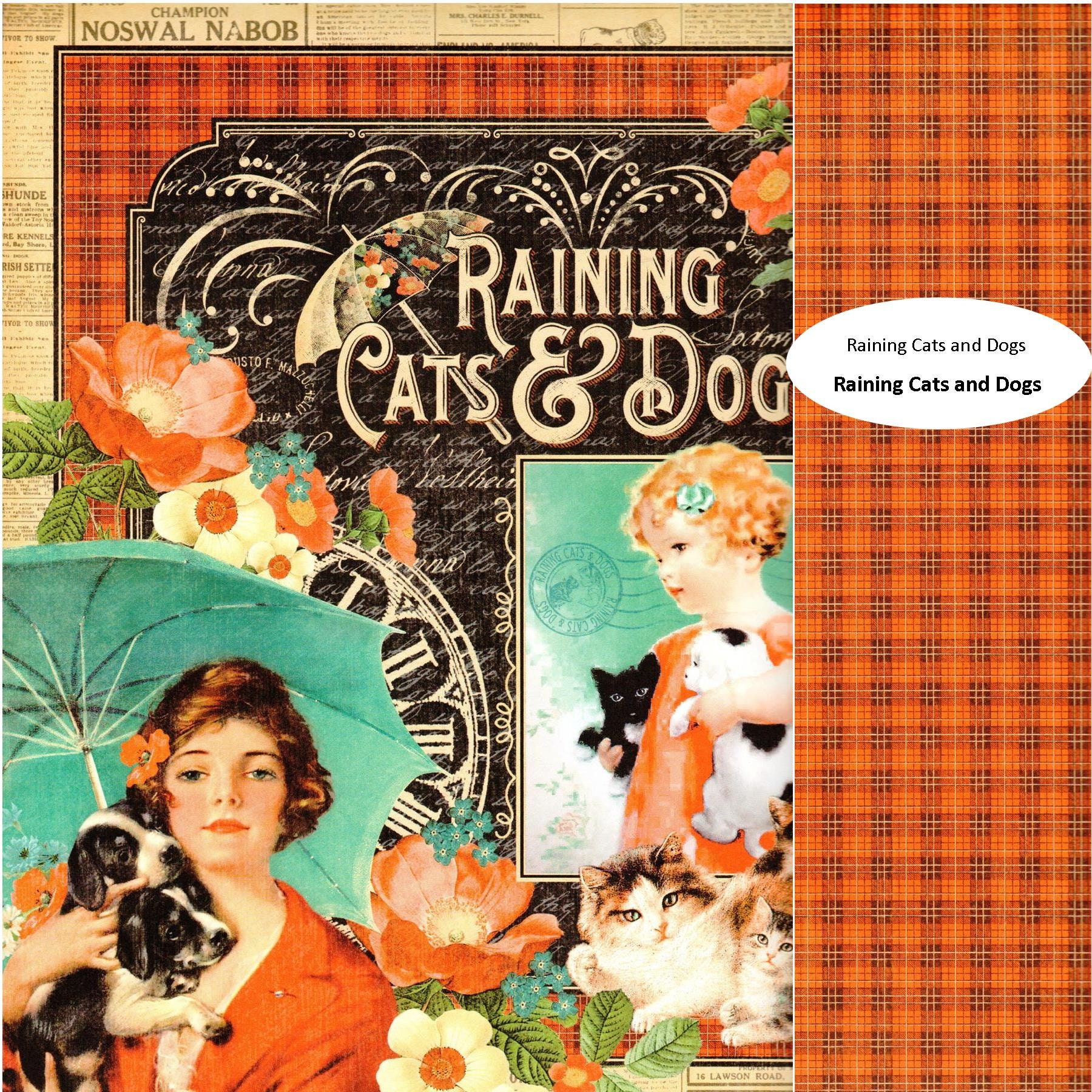Raining Cats and Dogs セット Amazon.com: Graphic 45 Raining Cats & Dogs Set of 12 Sheets