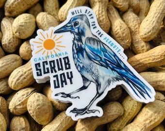 California Blue Jay Tool Box Sticker