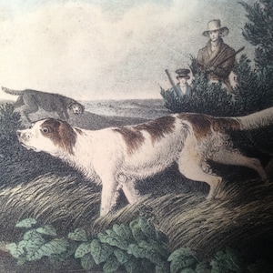 hunting scene print/Woodcock Shooting/Natural History and American Rural Sports Book/rural America/sportsman gift/Hunter gift/gift for him