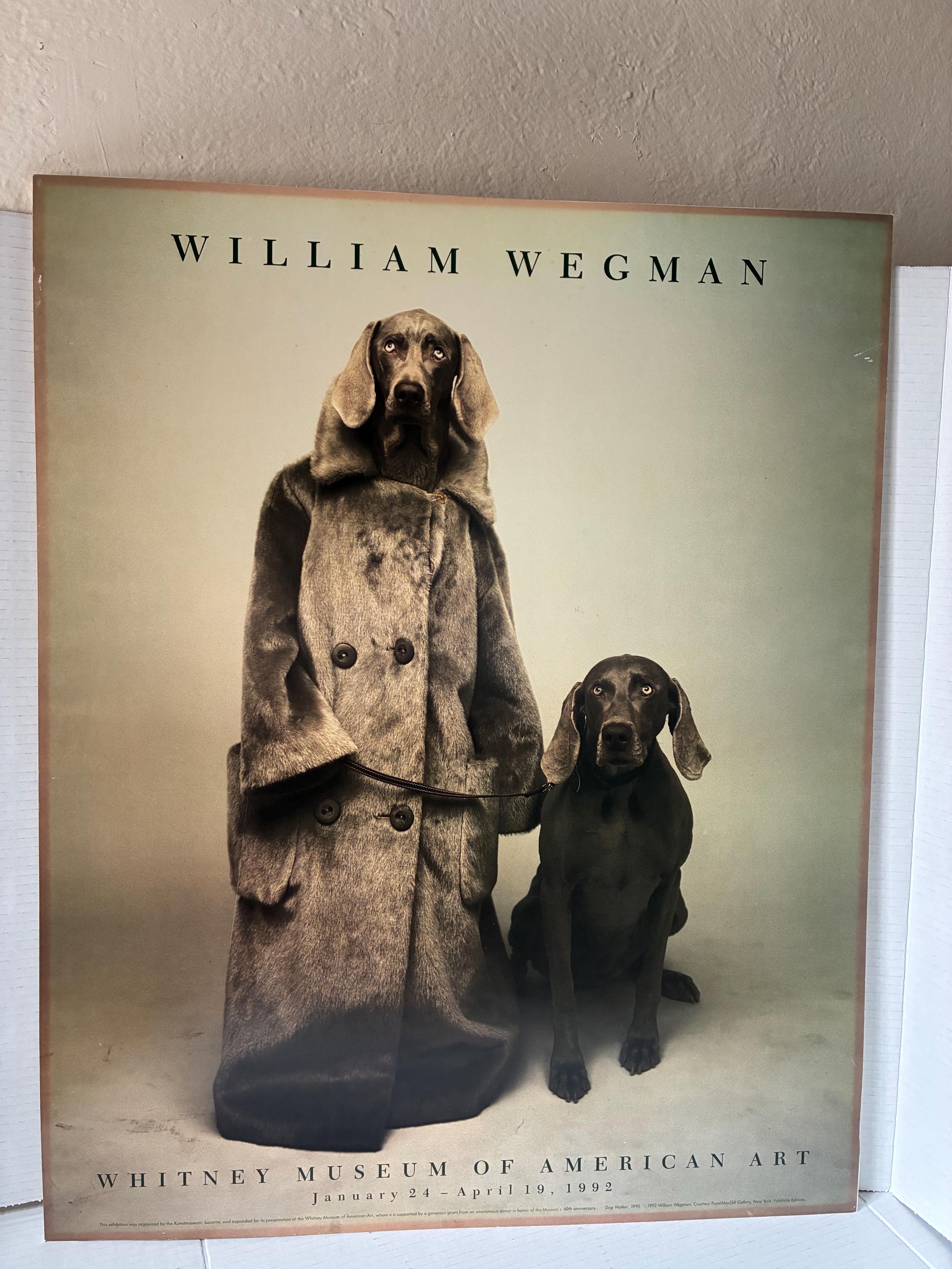 William Wegman Print - Etsy