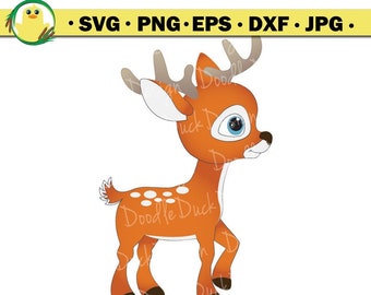 Deer