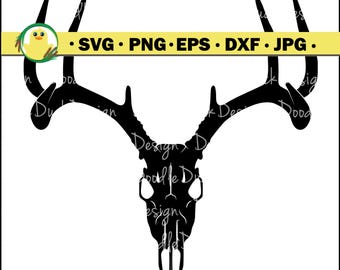Deer Euromount Digital Image