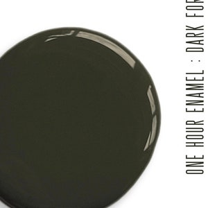 Dark Forest Luxury Earth Collection QUART Wise Owl One Hour Enamel Paint 31 oz Water Based Cabinet Furniture