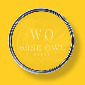 Soleil Wise Owl Chalk Synthesis Paint 16 or 32 oz