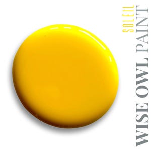 Soleil Caribbean Crush Collection QUART Wise Owl One Hour Enamel Paint 31 oz Water Based Cabinet Furniture