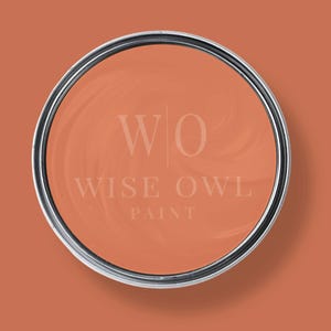 Terracotta Wise Owl Chalk Synthesis Paint 16 or 32 oz