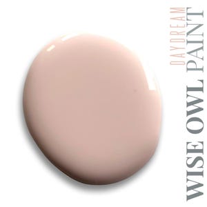 Daydream Caribbean Crush Collection QUART Wise Owl One Hour Enamel Paint 31 oz Water Based Cabinet Furniture