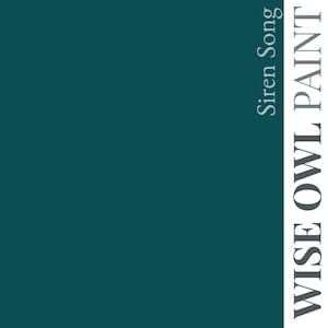 Siren Song Wise Owl Chalk Synthesis Paint 16 or 32 oz