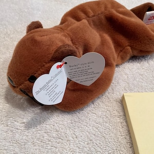 Very Rare Retired &quot;BUCKY&quot; Ty Beanie Baby ~ Date Of Birth: June 8, 1995  ~ PVC Pellets ~ Near Mint/Outstanding Condition ~