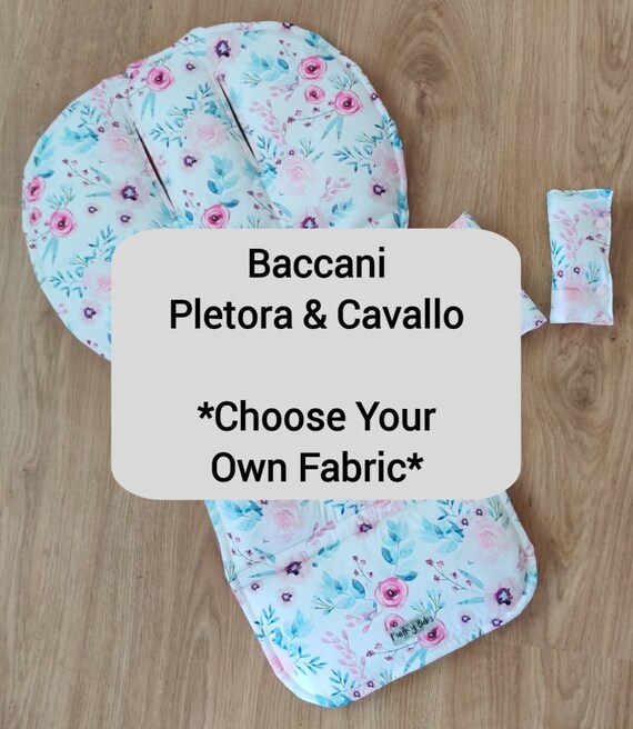 baccani 2 in 1 stroller