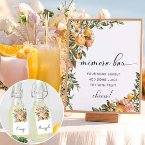 Printable Mimosa Bar Sign and Juice Tags, Bridal Shower Cocktail Menu Sign, Baby Shower Momosa Sign,  Mocktails Menu Sign, Clementine