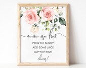 Blush Floral Mimosa Bar Sign - Mom-osa Bar Sign - Mum-osa Bar Baby Shower Sign - Printable Baby Shower Sign - Darcy Floral Pink