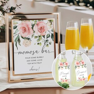 Blush Floral Mimosa Bar Sign, Baby Shower Momosa Bar Sign, Mum-osa Bar Sign, Printable Baby Shower Mocktail Sign, Darcy Floral Pink