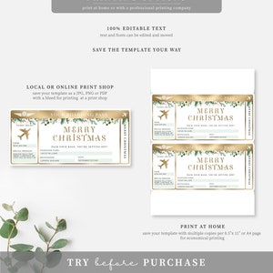 Editable Christmas Boarding Pass Template: Printable Airline Ticket Gift (Digital Download) image 4