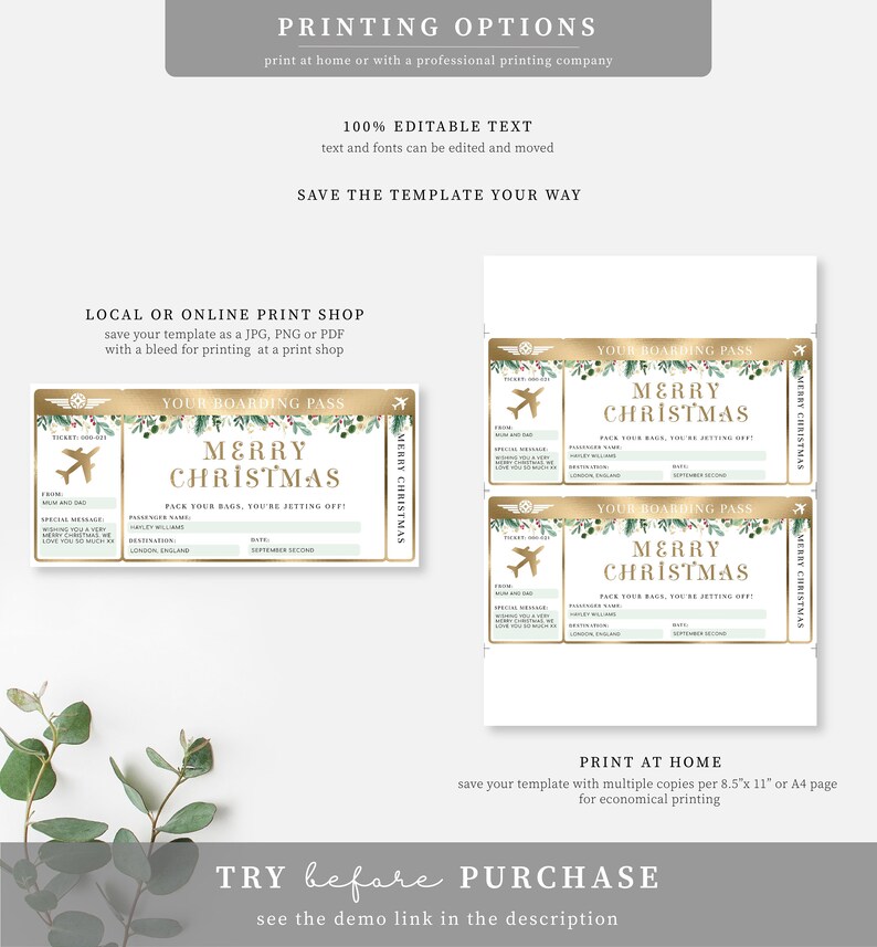 Editable Christmas Boarding Pass Template: Printable Airline Ticket Gift (Digital Download) image 4