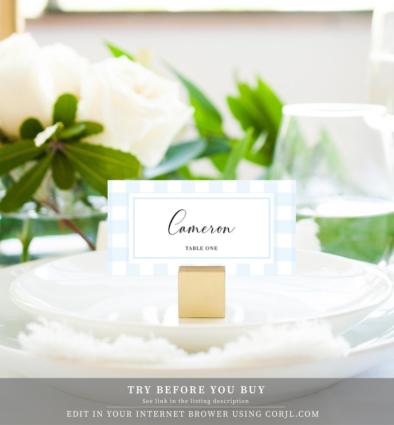 Blue Gingham Escort Cards Picnic Baby Shower Editable Printable Place Cards Tent and Flat Style Pace Cards