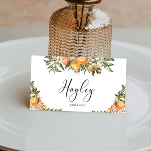 Editable Printable Place Card Template - Italian Oranges - Editable Escort Cards Template - DIY Wedding Stationery - Clementine