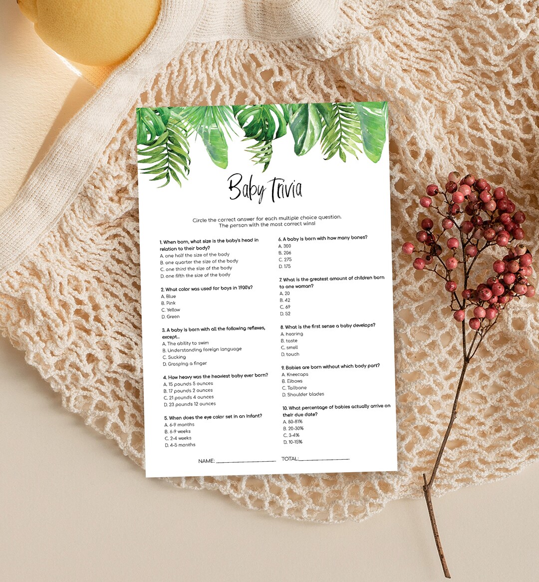 Editable Baby Trivia Quiz Game Printable Tropical Palm Baby Etsy