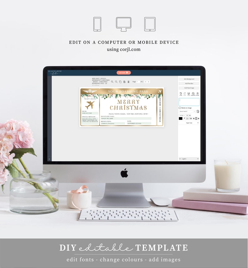 Editable Christmas Boarding Pass Template: Printable Airline Ticket Gift (Digital Download) image 5