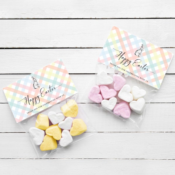 Printable Easter Favor Bag Topper, Editable Easter Egg Favor Bag Topper, Multi Coloured Gingham Easter Favour Tag, Happy Easter Tag