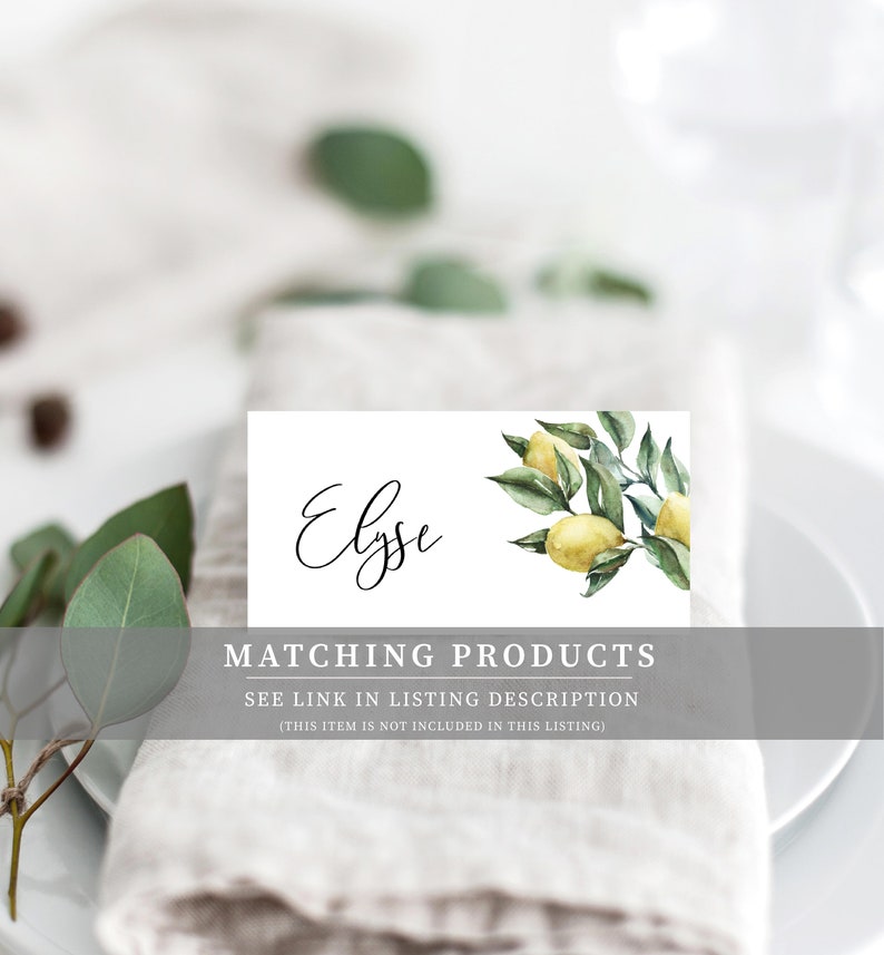 K&ouml;nnte beinhalten: Eine wei&szlig;e Karte mit dem Namen "Elyse" in schwarzer Schreibschrift. Die Karte zeigt eine Aquarell-Illustration eines Zitronenzweigs mit gr&uuml;nen Bl&auml;ttern und gelben Zitronen. Der Text "MATCHING PRODUCTS SEE LINK IN LISTING DESCRIPTION (THIS ITEM IS NOT INCLUDED IN THIS LISTING)" ist in Schwarz am unteren Rand der Karte gedruckt.