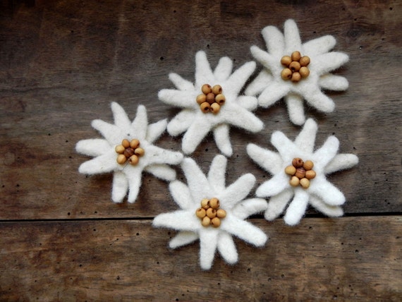 Edelweiss brooch best sale